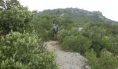 Excursión A pie Plan-d'Aups-Sainte-Baume - plan d'aups pour l été - Photo 2