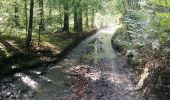 Percorso Marcia Vresse-sur-Semois - Rando au départ de Bohan  - Photo 8