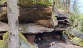 Randonnée Marche Lemberg - Lemberg - cascade des Ondines - sentiers des grottes et des étangs - Photo 15