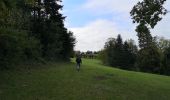 Trail Walking Plaimbois-du-Miroir - Plaimbois du Miroir  - Photo 11