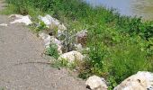 Excursión Senderismo Aire-sur-l'Adour - Aire sur l'Adour (atetier communal) - Photo 2