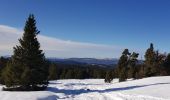 Tour Schneeschuhwandern Saint-Agnan-en-Vercors - la coche - Photo 2