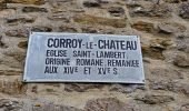 Tocht Stappen Gembloers - Balade de Gembloux à Corroy-le-Château - Photo 18