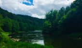 Tour Wandern Chiny - La Rando du Bian: Pont de fer à Moyen - Herbeumont - Photo 3