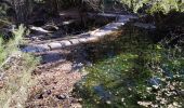 Trail Walking Mazaugues - le Caramy - Photo 15