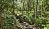 Tour Wandern Fontainebleau - Fontainebleau Apremont Franchard - Photo 2