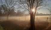 Tocht Stappen Yerres - forêt de senart - Photo 5