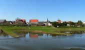 Tour Zu Fuß Beverungen - B11 - Über den Rotsberg - Photo 9