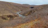 Tocht Stappen Unknown - Skaftafell - Photo 8