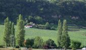 Tour Zu Fuß Grevenmacher - FB Grevenmacher I - Photo 6