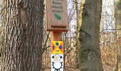 Trail On foot Niedernhausen - Lindenkopf: Fichte - Photo 2