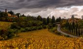 Excursión A pie Montespertoli - Dolce campagna, antiche mura 1 - Photo 4