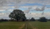 Excursión Senderismo Riemst - jour de ras le bol et de temps de merde  - Photo 7