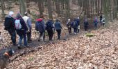 Excursión Senderismo Grez-Doiceau - #180312 - Néthen et le sud-ouest de la forêt de Meerdael**** - Photo 4