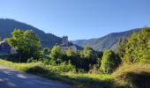 Trail Walking Garanou - Camina De Luzenac à Ax les thermes - Photo 2