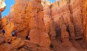 Excursión Senderismo Unknown - 2024 Bryce Canyon Queen's Trail - Photo 9