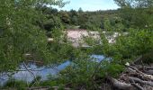 Trail Walking Le Muy - Massif du Rouet-21-05-21 - Photo 2