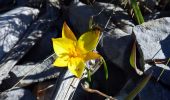 Tocht Stappen La Valette-du-Var - SityTrail - Le tour du coudon - Photo 15