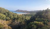 Excursión Senderismo Belgodère - Boucle Lozari - plage ostreconi : désert dès agriates  - Photo 6