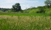 Trail On foot Bestensee - Wanderweg Sutschketal - Photo 1