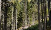 Trail Walking Saint-Gervais-les-Bains - Le Champel, 09 09 2019 - Photo 1