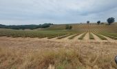 Trail Electric bike Esparron-de-Verdon - Riez plateau de Valensole - Photo 2