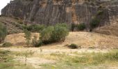 Randonnée A pied Uceda - Senda 2: Remontando el Lozoya hasta la Presa de la Parra - Photo 6