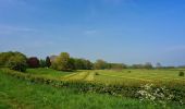 Percorso A piedi Deventer - WNW Salland - De Worp - grpene route - Photo 6