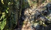 Trail Walking Lioux - Combe de Lioux Falaise de la Madeleine  - Photo 16