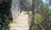 Trail Walking Agerola - “Sentier des Dieux“ CAI327+CAI331 Bomerano-Nocelle-Arienzo-Positano D+450m D-1000m - Photo 10