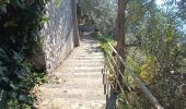 Tour Wandern Agerola - “Sentier des Dieux“ CAI327+CAI331 Bomerano-Nocelle-Arienzo-Positano D+450m D-1000m - Photo 10