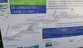 Trail Walking Préserville - 17 juin - Photo 1