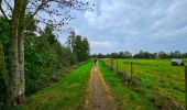 Tour Wandern Tubize - Balade à Tubize - Photo 2