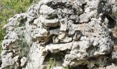 Excursión Senderismo La Roquebrussanne - La Roque La loube Col de la barraque les orris - Photo 17