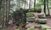 Tour Wandern Ottrott - Mont St Odile - Mur Païen - Grotte des Druides - Sentier des Merveilles - Photo 12