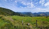 Randonnée Marche Bussang - Trek alsacien (boucle rochelotte) - Photo 19