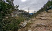 Trail Walking Bairols - Mont Falourde depuis Bairoldmd - Photo 6