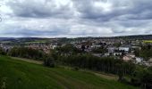 Percorso A piedi Wunsiedel - Landschaftslehrpfad Wunsiedel - Photo 2