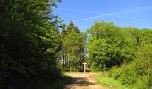 Percorso Marcia Saint-Crépin-aux-Bois - en forêt de Laigue_10_06_2021_la Malmère_Cercle en ciel - Photo 15