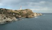 Tocht Stappen Collioure - Collioure Banyuls  - Photo 1