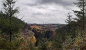 Tocht Stappen Malmedy - malmedy . ferme libert .  tro maret . ferme libert . malmedy par les crêtes  - Photo 17