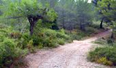 Tour Wandern Belcodène - belcodene - Photo 13