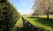 Tour Wandern Chaumont-Gistoux - #210427 - Longueville, Hèze et Petit Hacquedeau - Photo 6