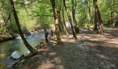 Tour Wandern Sainte-Eulalie-en-Royans - Cascade blanche et Cascade verte - Photo 9