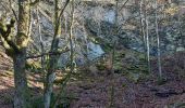 Trail Walking Lierneux - lierneux . promenade aérienne dans la vallee de la lienne - Photo 9