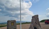 Trail Walking Stosswihr - Honeck depuis Gaschney - Photo 17
