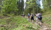 Tour Wandern Gex - Jura (col de la faucille) 04-06-19 - Photo 2