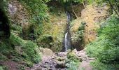 Tour Wandern Urmatt - Cascade Soultzbach - Urmatt - Photo 3