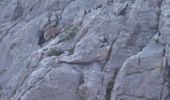 Tour Wandern Glières-Val-de-Borne - BARGY: CENISE - ROCHERS DE LESCHAUX - SOLAISON - COL DE CENISE - Photo 8