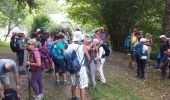 Tour Wandern Saint-Créac - sous de très G3 FAIT - Photo 3